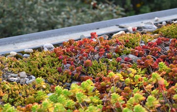 the cost of Straloch green roof installation