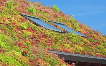 Straloch living roof systems