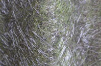 Straloch fibreglass roof work